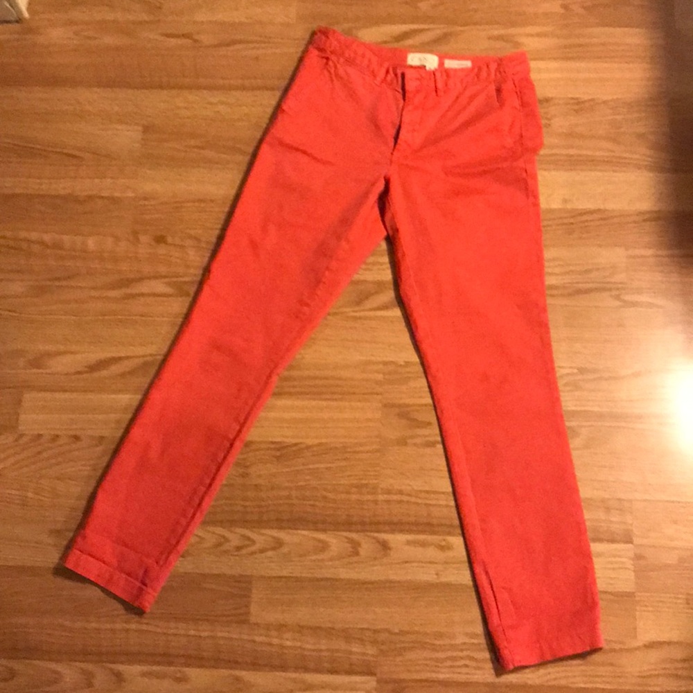Anthropology pants
